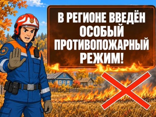 В регионе введён особый противопожарный режим.